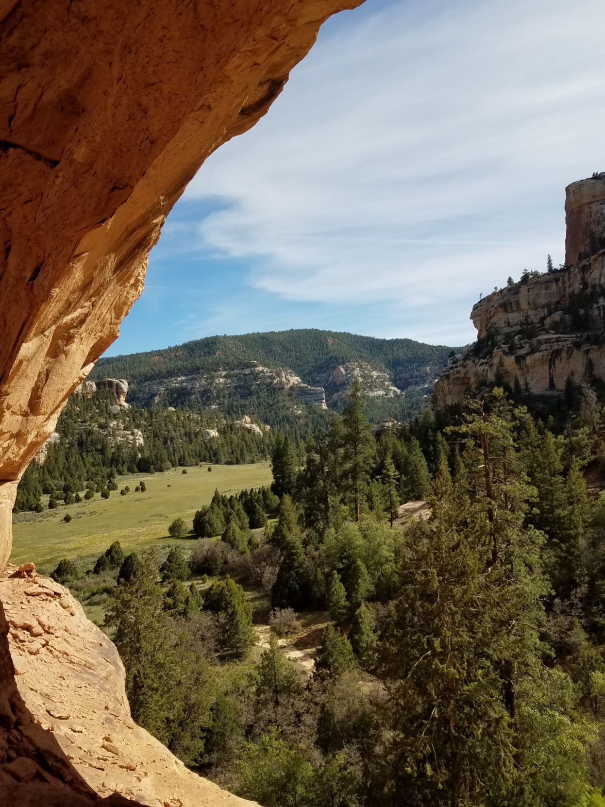 horse pasture canyon